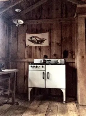 a kitchen with a white stove in a room at Rustic Cabin Retreat on the Ten Mile River in Narrowsburg, New York in Narrowsburg