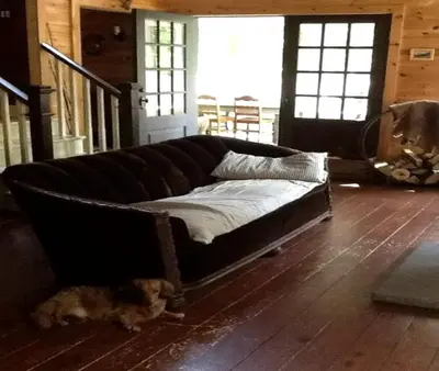 a cat laying on the floor next to a couch at Charming Cottage Rental with Antique Decor in Narrowsburg, New York in Narrowsburg