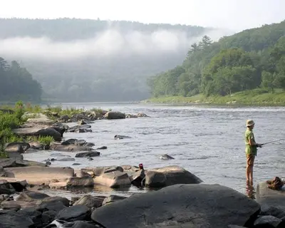 a man is standing on some rocks in a river at Charming Cottage Rental with Antique Decor in Narrowsburg, New York in Narrowsburg
