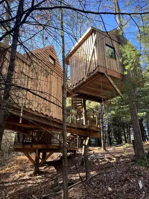 a tree house on a platform in the woods at Eco-Friendly, Abstract Treehouse Surrounded by Wildlife and Hiking Trails For a Special Getaway in Sparrow Bush, New York in Sparrow Bush