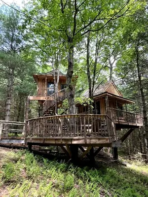 a tree house in the middle of a forest at Eco-Friendly, Abstract Treehouse Surrounded by Wildlife and Hiking Trails For a Special Getaway in Sparrow Bush, New York in Sparrow Bush