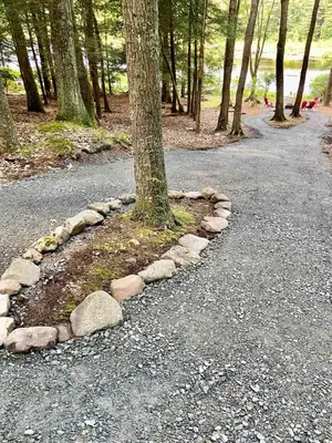 a rock border around a tree on a road at Beautiful Lakefront Chalet in the Poconos! in Hawley