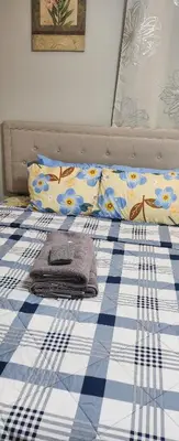 a bed with a blue and white checkered blanket and pillows at Amazing family house in Newark