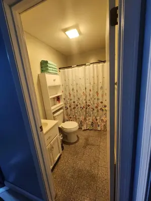 a bathroom with a toilet and a shower curtain at Countryside Comfort in Willseyville