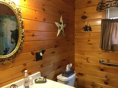 a bathroom with wooden walls and a mirror and a toilet at Secluded Cabin Nestled in the Mountains near the Tioga State Forest, Pennsylvania in Blossburg