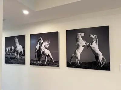a row of four pictures of horses on a wall at Hoboken 3BR Queen Loft in Hoboken