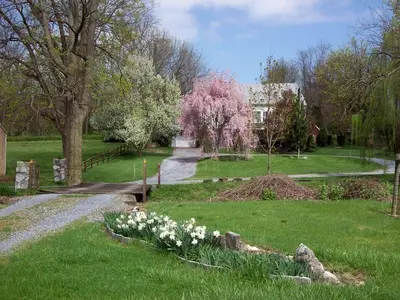 a garden with white flowers in the grass at Spacious Cottage Rental with Creek Views near Harrisburg and Hershey, Pennsylvania in Middletown