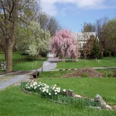Spacious Cottage Rental with Creek Views near Harrisburg and Hershey