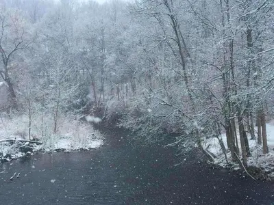 a snow covered forest with a river and trees at Stunning Cabin Rental with a Hot Tub Overlooking Fishing Creek near Sproul State Forest, Pennsylvania in Mill Hall