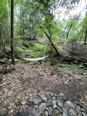 a hammock in the middle of a forest at Amazing Equipped Bell Tent Nestled Among Nature in New York in Kerhonkson
