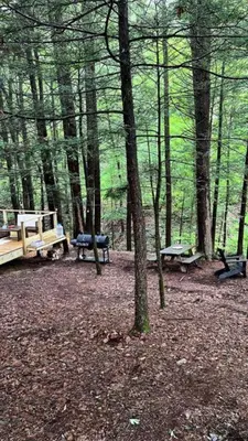 a park with benches and picnic tables in the woods at Amazing Equipped Bell Tent Nestled Among Nature in New York in Kerhonkson