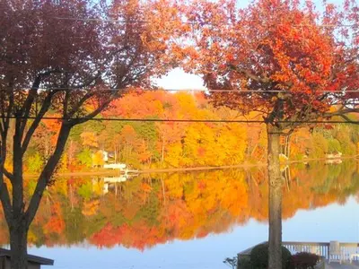 a reflection of trees in a lake with autumn colours at Peaceful Private Cabin on Crystal Lake near Elk Mountain, Pennsylvania in Clifford