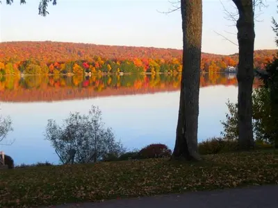 two trees and a lake in the fall at Peaceful Private Cabin on Crystal Lake near Elk Mountain, Pennsylvania in Clifford