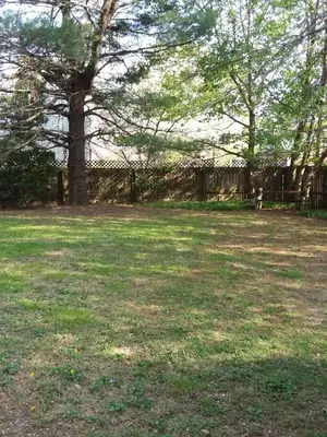a large yard with a tree and a fence at Spacious Antique Charm Home by Leavetown Vacations in Columbia