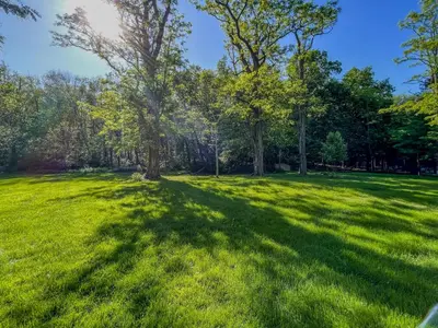 a large grassy field with trees in the background at Cozy Cabin Gateway with Pool and Firepit in Montgomery