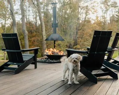 a white dog standing on a deck next to chairs at Coop 003 in Kenoza Lake