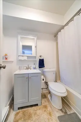 a white bathroom with a toilet and a sink at Catskills Lakefront with Hot Tub, Sauna and Theater in Monticello