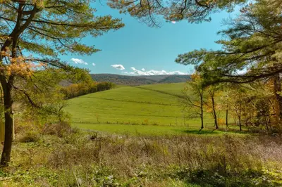 a green field with trees and mountains in the background at Charming Little House at Buckleberry View EV Recharge Gorgeous View Hot Tub in Spring Mills