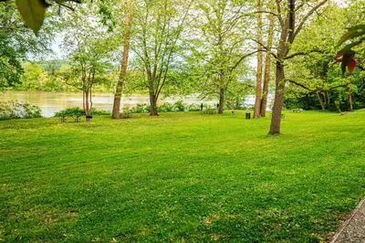 a park with green grass and trees and a river at The River Shack - kayaks, fishing, quiet, family in Delta