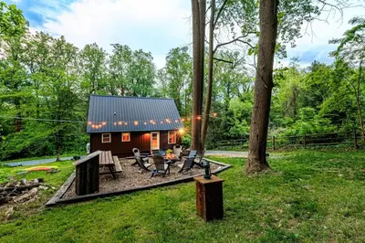 a tiny house in the woods with a patio at The River Shack - kayaks, fishing, quiet, family in Delta