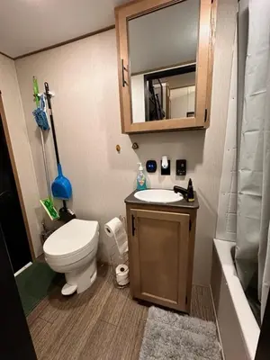 a bathroom with a toilet and a sink and a mirror at Luxury Lakeside Retreat - The Cozy Wondrous Weekendator in Lake Ariel