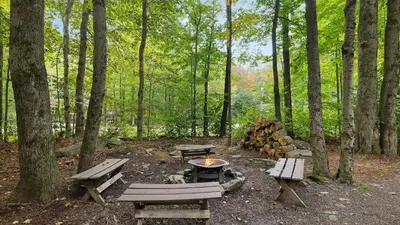 two picnic tables and a fire pit in a forest at Moshannon Tree-Lined Pocono Retreat w Hot Tub Firepit Pool Table in Pocono Lake