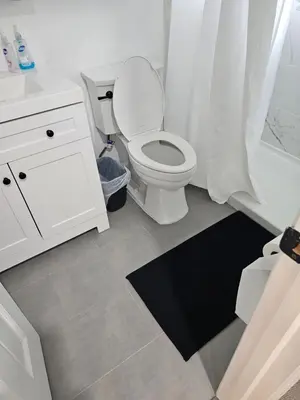 a white bathroom with a toilet and a sink at Charming Twin Ponds Estate On 27 Acres in Woodbourne