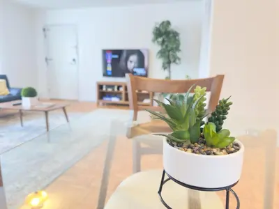 a living room with a potted plant on a table at Spacious and Convinient near NYC Parking Available in Guttenberg