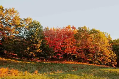 a field with colorful trees in the background at Rustic Ridge Log Cabin: Hot Tub, Games, Views! in Mount Pocono