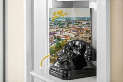 a statue of a cat on a shelf with a poster at 3BD 102 Madison Ter in Springfield