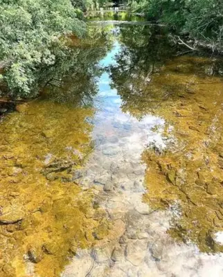 a reflection of the sky in the water at The Villa Farm