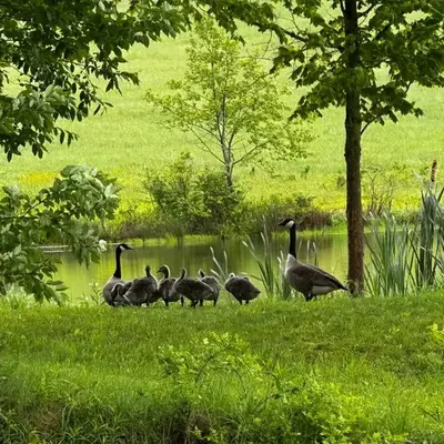 The Farmhouse at Deer Run