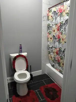 a bathroom with a toilet and a shower curtain at Log Comfort 2 in Newark