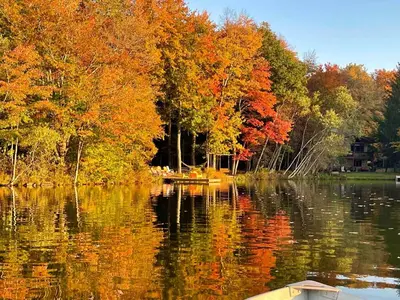 a boat on a lake with trees in autumn at Swept Away in Arrowhead Lake in Arrowhead Lake