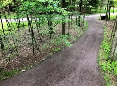 a dirt road in the middle of a forest at Swept Away in Arrowhead Lake in Arrowhead Lake