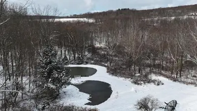 a pond in a snow covered field with trees at Susquehanna Waterfall Haven in Susquehanna