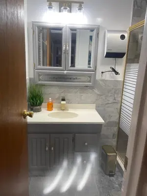 a bathroom with a sink and a mirror at Susquehanna Waterfall Haven in Susquehanna