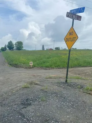 a no vehicle sign on the side of a road at UndertheWillows by Towanda Sayre in Ulster