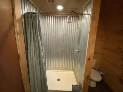 a bathroom with a shower with a shower curtain at UndertheWillows by Towanda Sayre in Ulster
