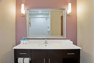 a bathroom with a sink and a mirror at Holiday Inn Express & Suites New Cumberland by IHG in New Cumberland