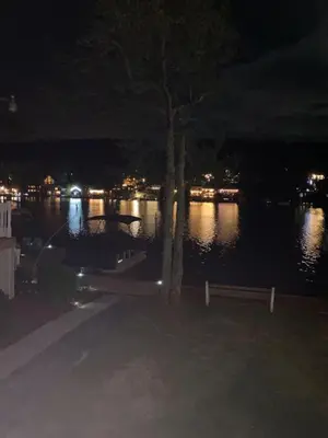 a tree sitting next to a body of water at night at Lakefront home with kayaks fire pit hot tub and walk to restaurants and bars in Lake Harmony
