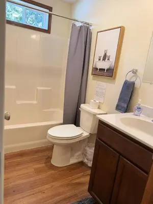 a bathroom with a toilet and a sink and a shower at Lakefront home with kayaks fire pit hot tub and walk to restaurants and bars in Lake Harmony