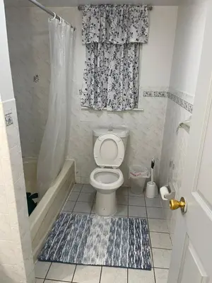 a bathroom with a toilet and a shower and a tub at Peculiar 153 in Newark