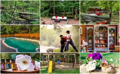 a collage of pictures of people and animals and a pool at Charming Forest Cabin with a Hammock near Delaware Water Gap National Recreation Area, Pennsylvania in Canadensis