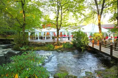 a river with a bridge and a bridge at Cozy and Secluded Cabin with a Fireplace in the Poconos Mountains of Pennsylvania in Canadensis