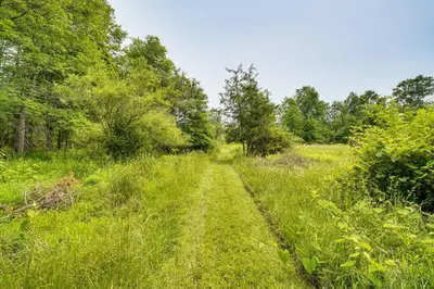 a dirt road through a field with trees at Peaceful Countryside Retreat with Yard in Frenchtown in Frenchtown