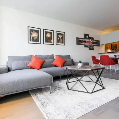 Beautiful 1 Bed Fully Furnished Apartment
