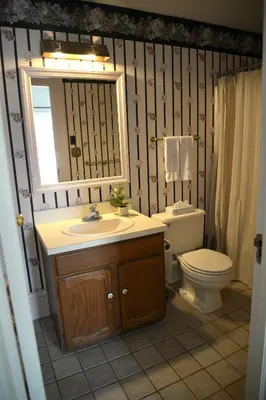 a bathroom with a sink and a toilet and a mirror at Strasburg Village Inn in Strasburg