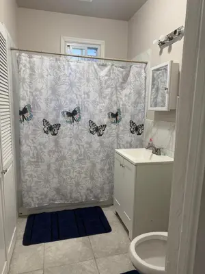 a bathroom with a shower curtain with butterflies on it at Judees' Comfort 3 in Newark