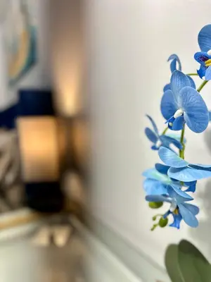 a close up of a blue flower on a counter at BP STAYS - Hotel-Style, No Host, Professionally Managed ID252 in Jersey City